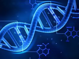 بیومتریال، انواع، کاربرد