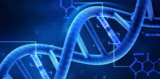 بیومتریال، انواع، کاربرد