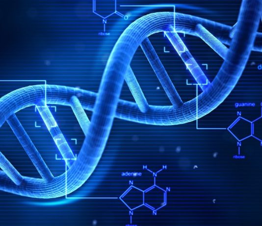 بیومتریال، انواع، کاربرد