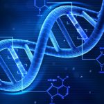 بیومتریال، انواع، کاربرد